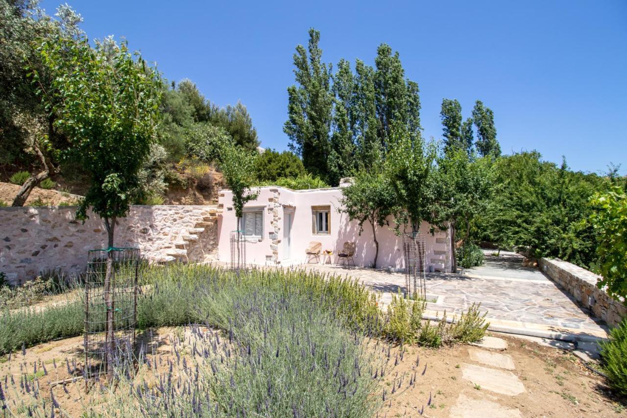Serenity Village Aperathos Exterior photo