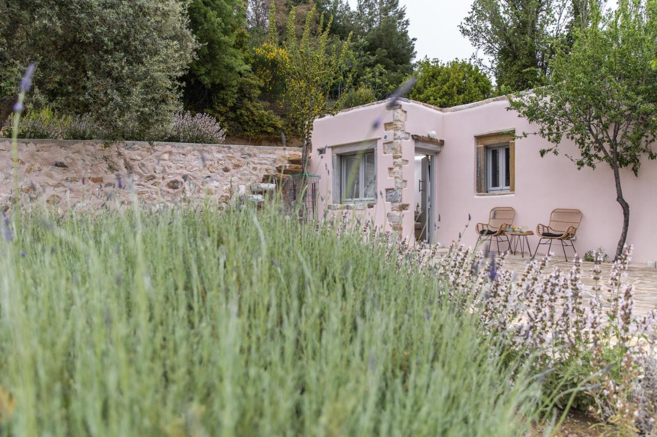 Serenity Village Aperathos Exterior photo